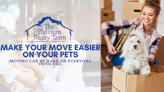 Make Your Move Easier on Your Pets