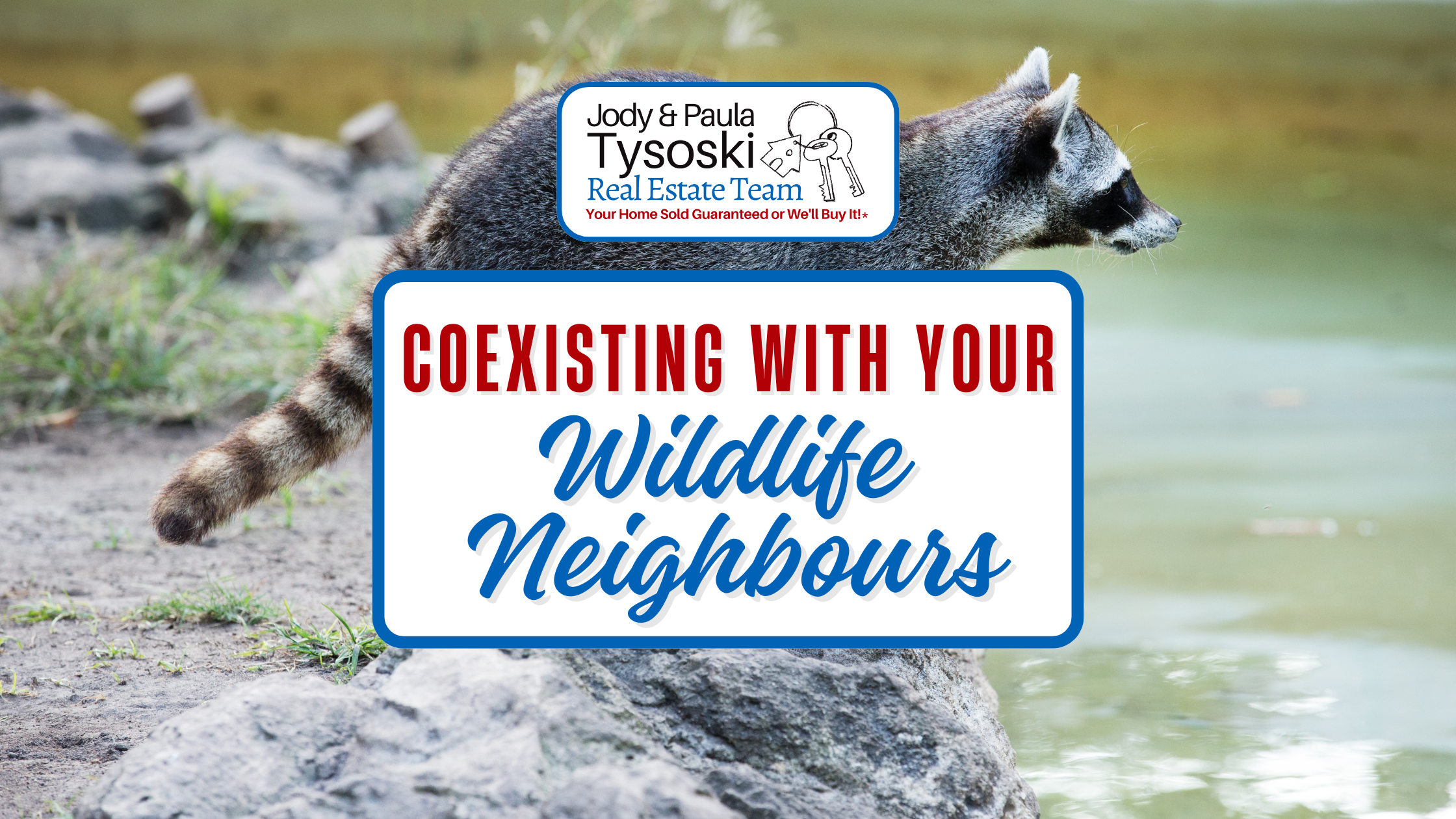 Coexisting with your Wildlife Neighbours